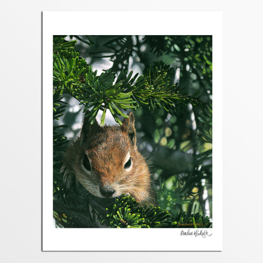 "A Curious Friend" Fine Art Print