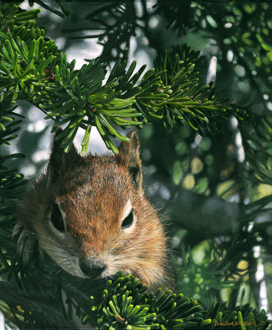 "A Curious Friend" Canvas Print
