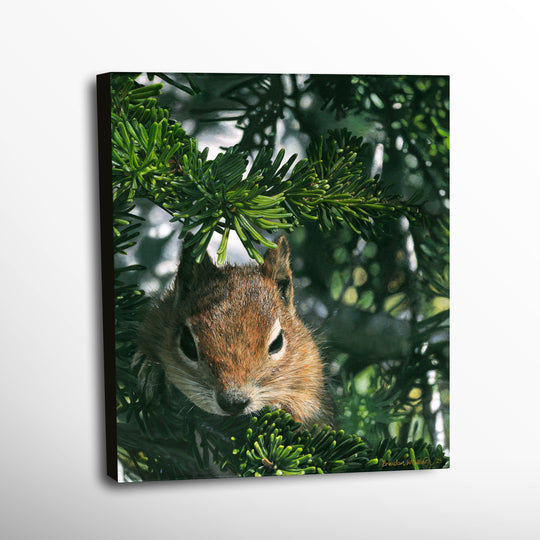 "A Curious Friend" Canvas Print