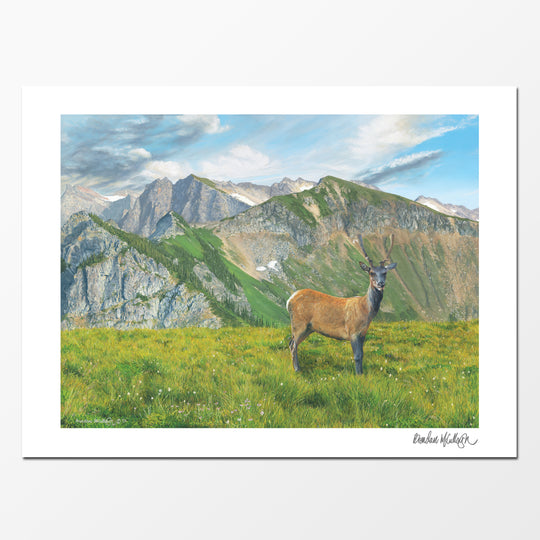 “Waiting for Sunset" Fine Art Print