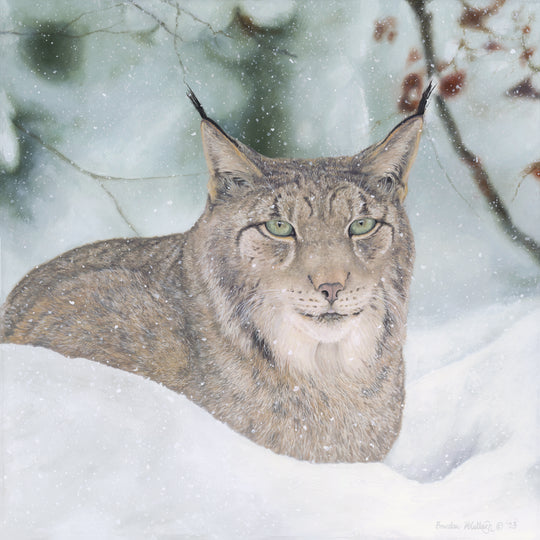 “Winter Queen” Canvas Print Landscape and Wildlife Art by Brendan McCullough