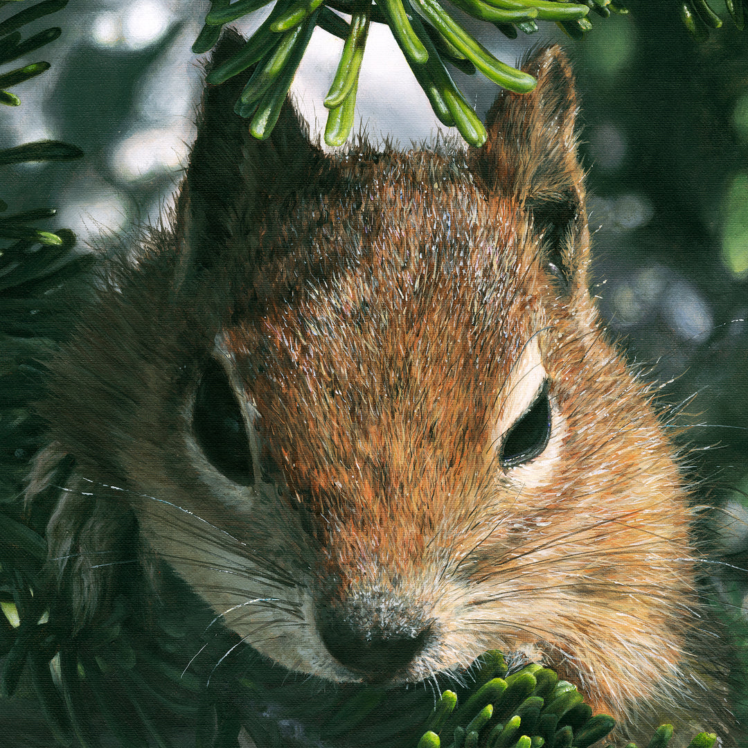 "A Curious Friend" Canvas Print