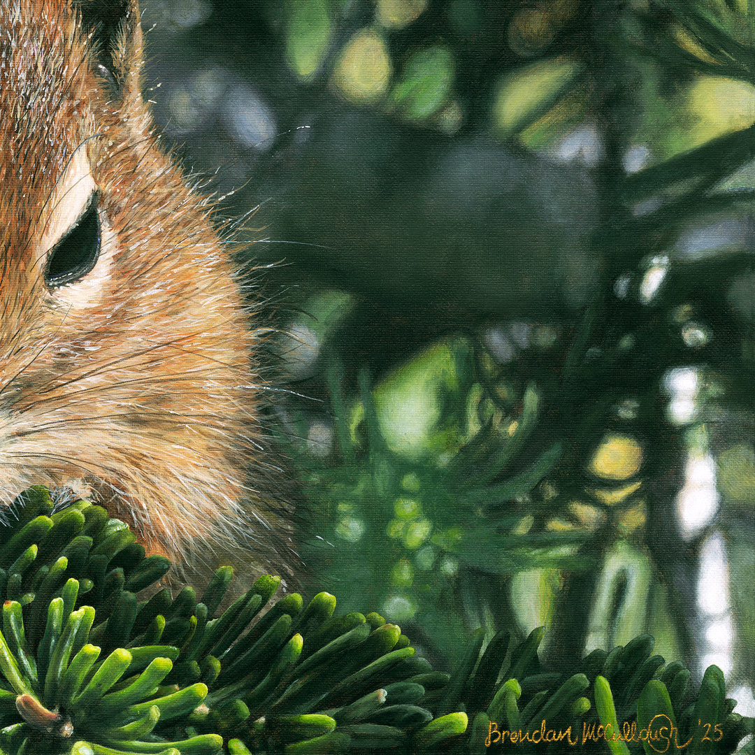 "A Curious Friend" Canvas Print