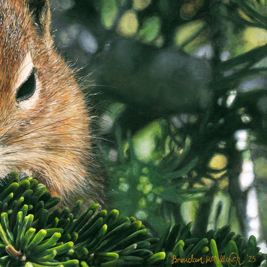 "A Curious Friend" Canvas Print
