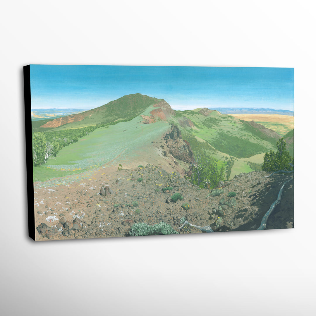 “Into the Distance” Canvas Print Landscape and Wildlife Art by Brendan McCullough