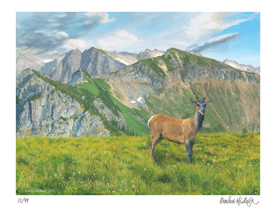 “Waiting for Sunset" Limited Edition Print Landscape and Wildlife Art by Brendan McCullough