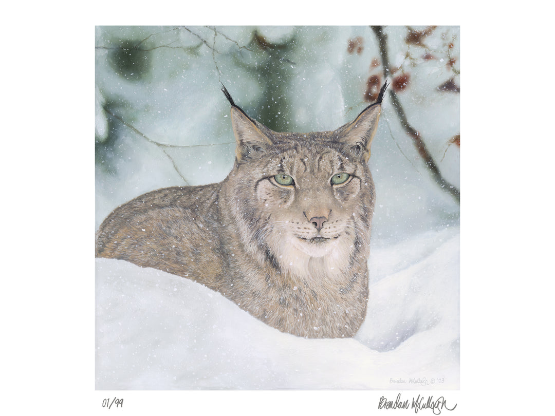 “Winter Queen" Limited Edition Print Landscape and Wildlife Art by Brendan McCullough